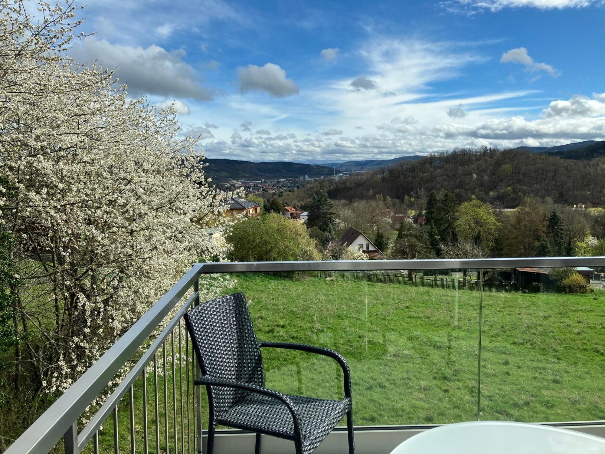 Studioappartment Saaleblick Rudolstadt Εξωτερικό φωτογραφία